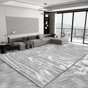 Tapis de salon de grande taille, style minimaliste